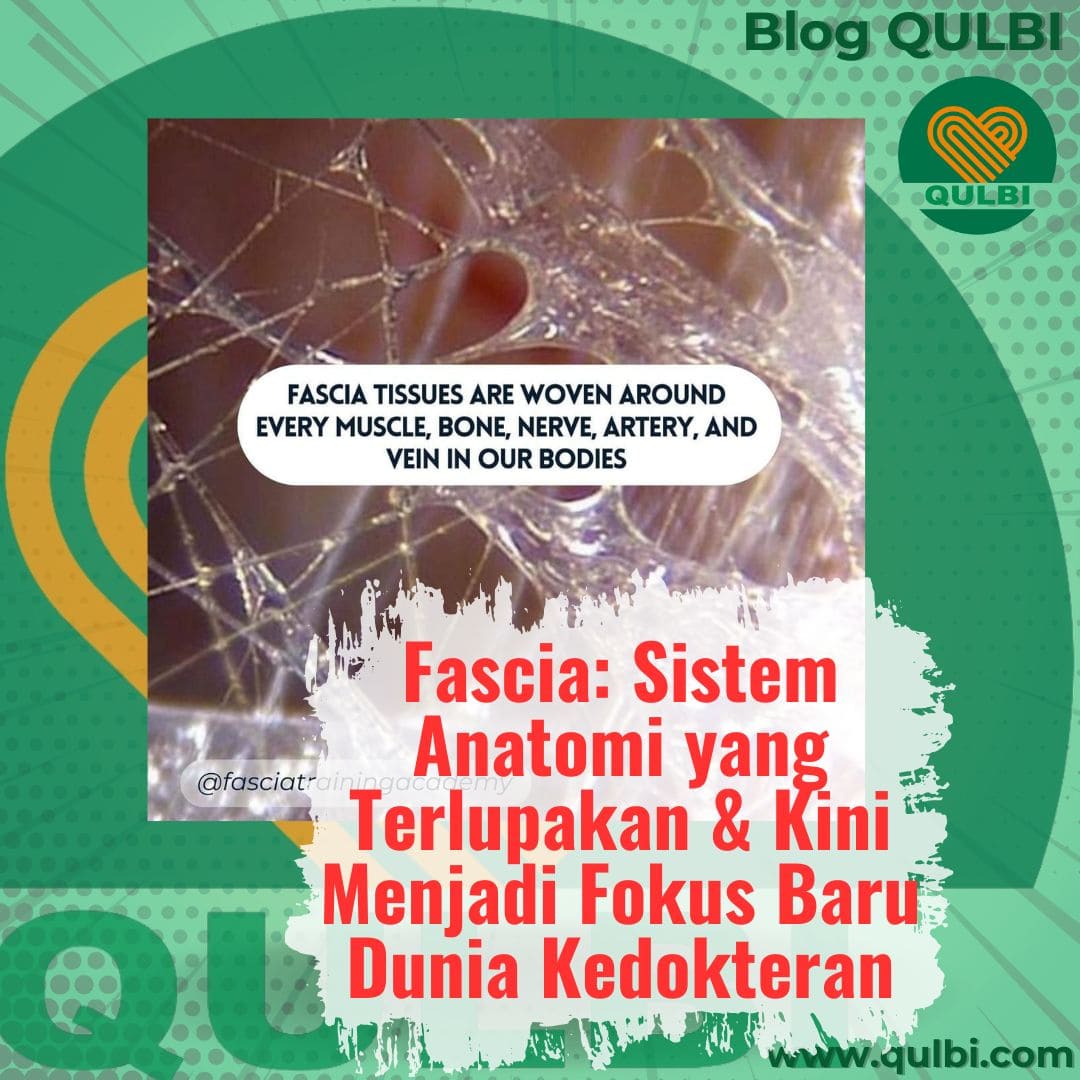You are currently viewing Fascia: Sistem Anatomi yang Terlupakan dan Kini Menjadi Fokus Baru di Dunia Kedokteran