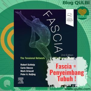 Read more about the article Mengungkap Rahasia Fascia: Jaringan Tensional Penjaga Keseimbangan Tubuh Bebas Nyeri