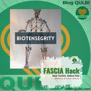 Read more about the article FASCIA Hack dan Biotensegrity: Solusi Nyeri Holistik melalui Keseimbangan Struktural
