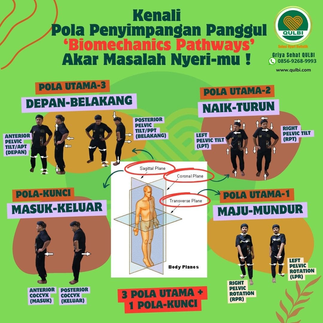 You are currently viewing Kenali Pola Standar Pelvic Imbalances: Akar Masalah Nyeri dan Kunci Perbaikan Struktural dengan Balancing FASCIA Hack
