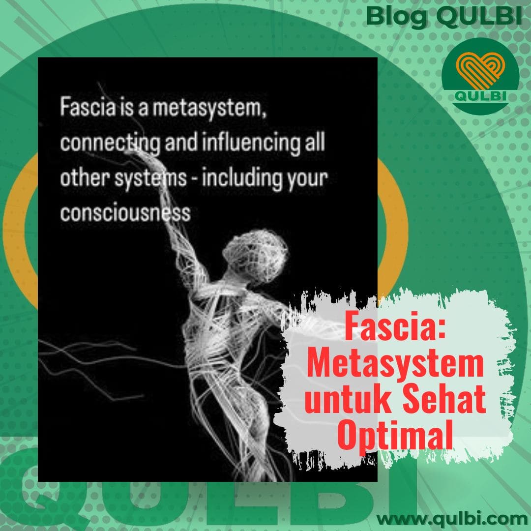 Read more about the article Fascia: Metasystem Tubuh yang Mengatur Kesehatan Tubuh dan Kesadaran, Termasuk Bebas Nyeri !