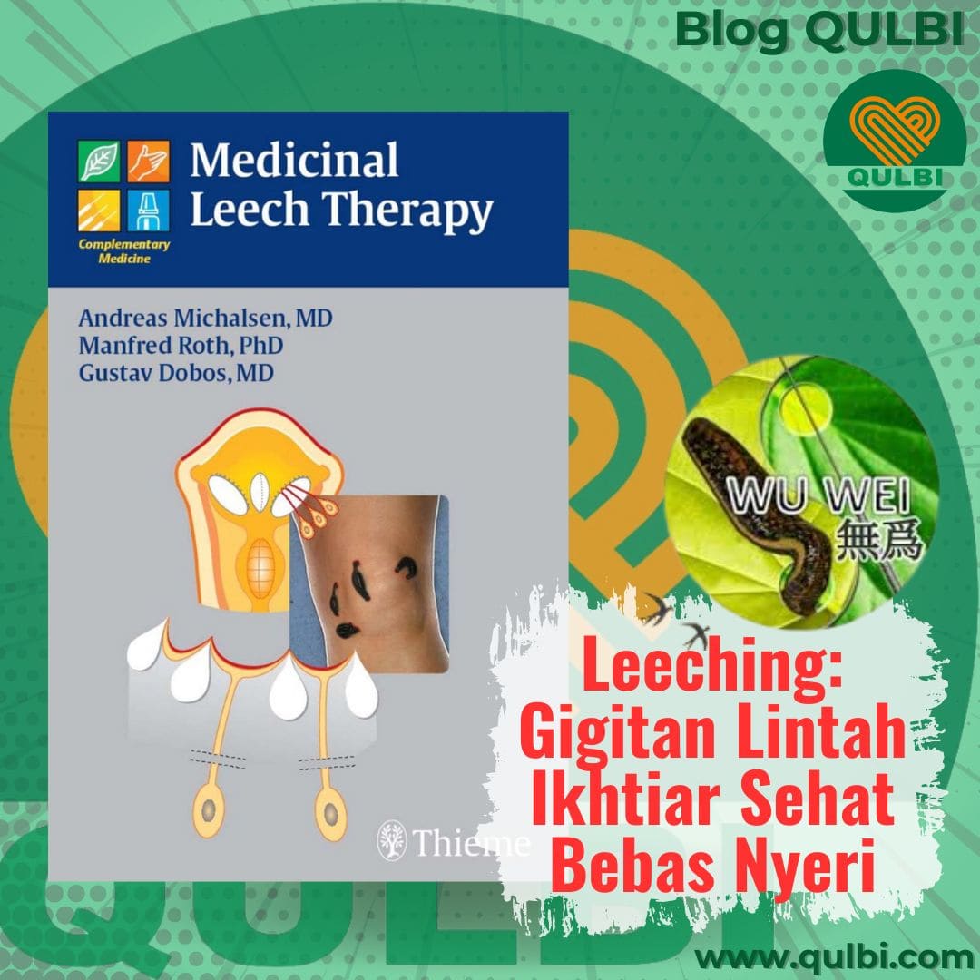Read more about the article Hirudin & Leeching: Senjata Alami QULBI Habits untuk Lawan Nyeri dan Peradangan