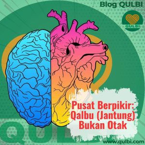 Read more about the article Ternyata Pikiran Itu Bukan di Otak, Tapi di Qalbu — Dan Inilah Kunci Sehatnya ala Thinking di QULBI Habits