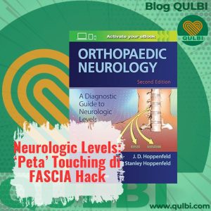Read more about the article Peta “Touching” dalam FASCIA Hack: Memahami Lokasi Adhesi Fascia Berdasarkan Neurologic Levels