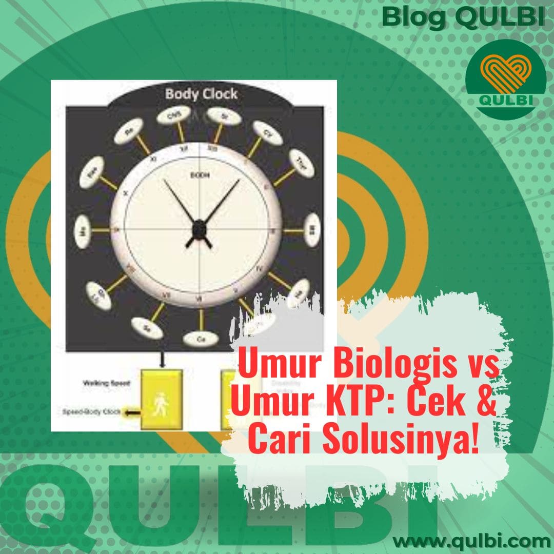 Read more about the article Umur Biologis vs Umur KTP: Health Octo Tool Buka Rahasia, QULBI Method Kasih Solusinya!