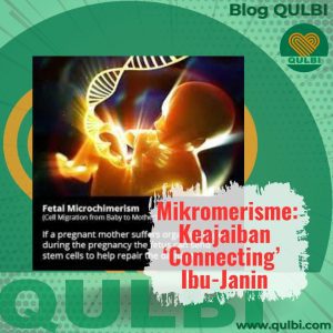 Read more about the article Anak Tinggal di Tubuh Ibu: Sains Tentang Mikrokimerisme & Keajaiban Hubungan Ibu dan Janin