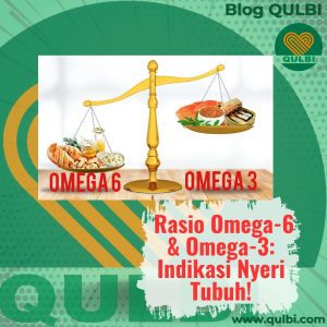 Read more about the article 3 Rasio Lemak Tubuh yang Menentukan Sehat, Nyeri, atau Meradang: Mulai dari Omega-6:3 Dulu Aja bersama QULBI Habits