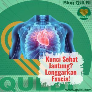 Read more about the article Kunci Sehat Jantung? Jangan Lupa Longgarkan Fascia Dulu dengan FASCIA Hack