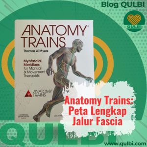 Read more about the article Membedah Teknik Anatomy Trains: Jaringan Fascia, 11 Jalur, dan Pelengkapnya lewat FASCIA Hack