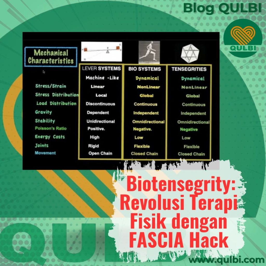Dr Stephen Levin Biotensegrity