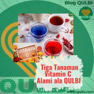Read more about the article Tiga Tanaman Sakti Penyuplai Vitamin C Alami ala QULBI