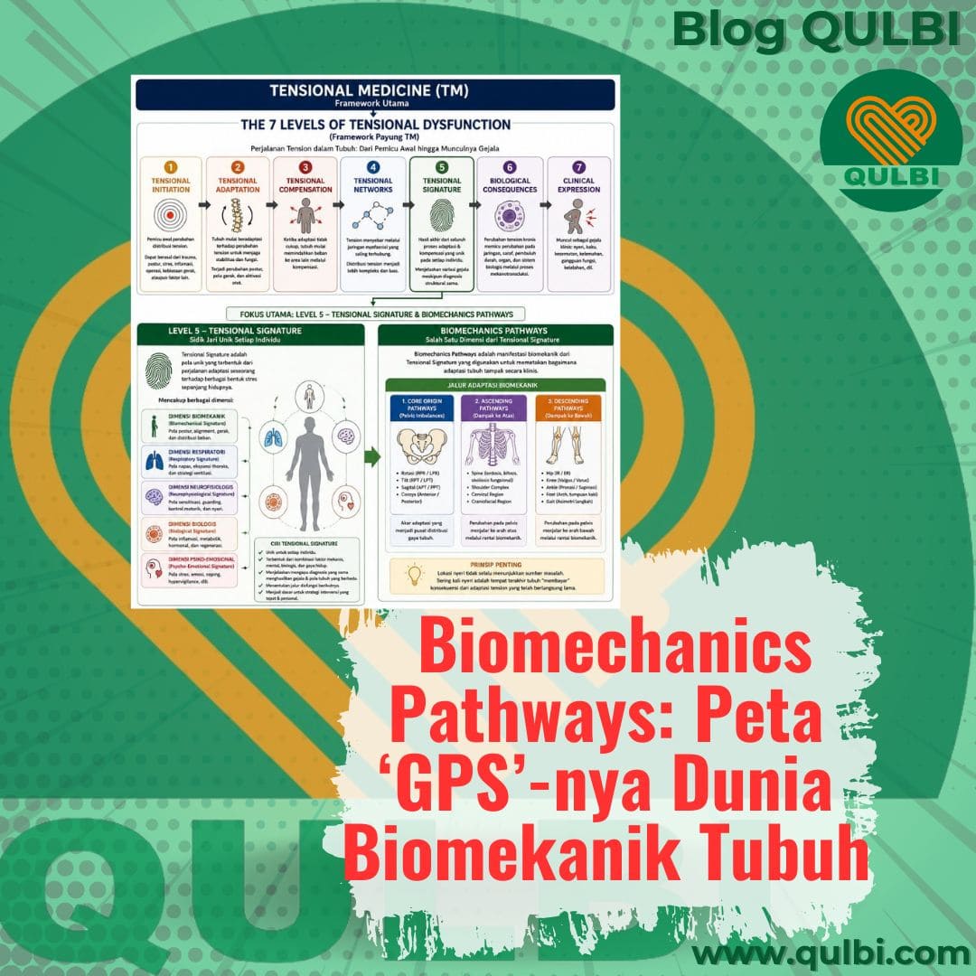 Read more about the article Kenalan Sama BIOMECHANICS PATHWAYS: Peta GPS-nya Dunia ‘Biomekanika’ Tubuh Ala QULBI