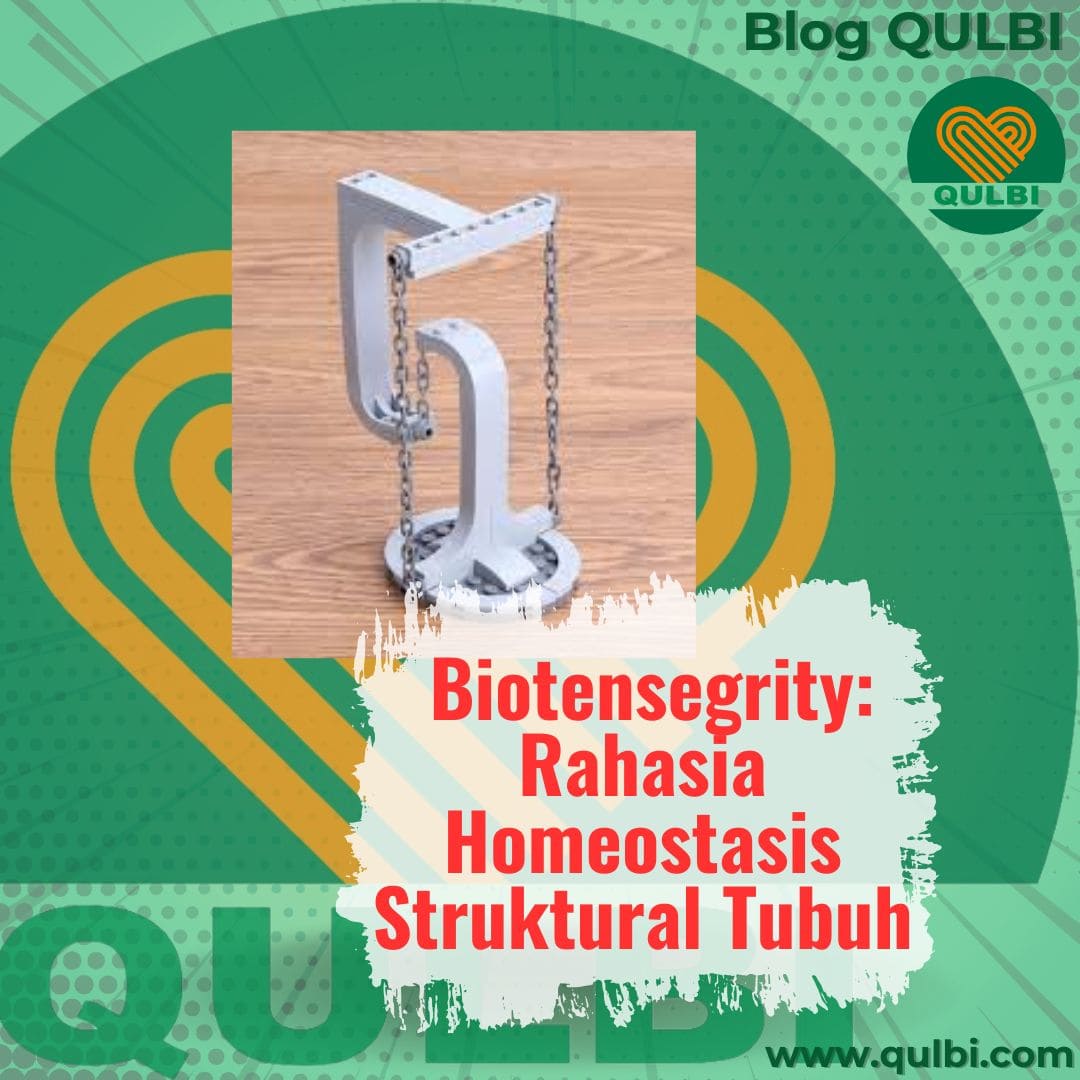 biotensegrity adalah homeostasis rangka tubuh