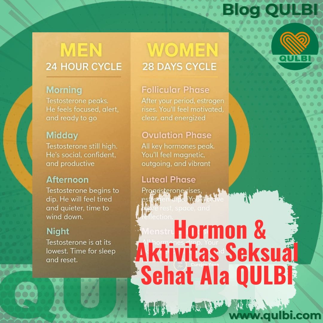 You are currently viewing Ritme Hormon dan Aktivitas Seksual Sehat dan Berkah Ala QULBI Habits
