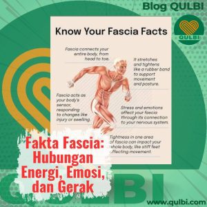 Read more about the article Fascia: Bahasa Tubuh yang Menghubungkan Energi, Emosi, dan Gerak