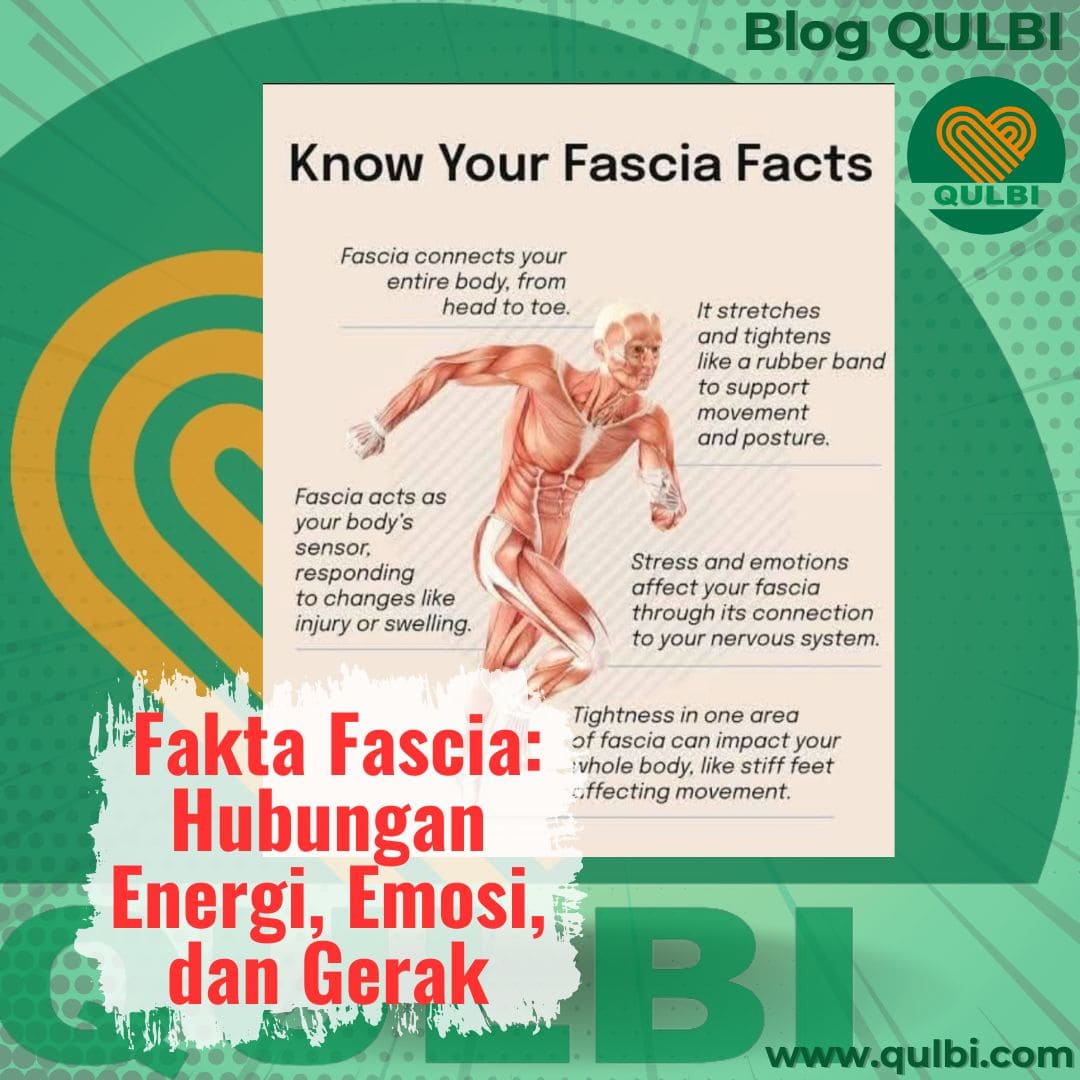 You are currently viewing Fascia: Bahasa Tubuh yang Menghubungkan Energi, Emosi, dan Gerak