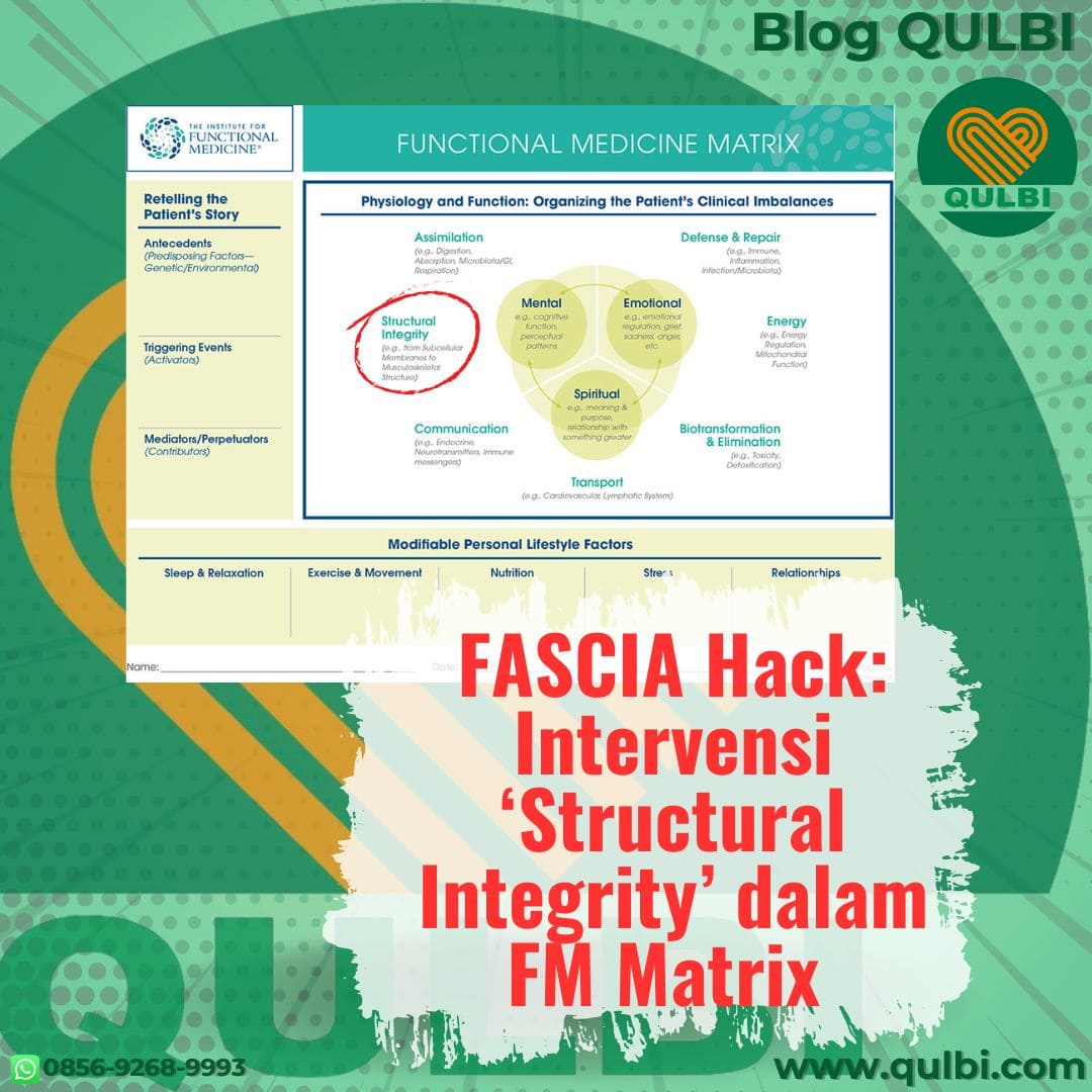 Read more about the article FASCIA Hack sebagai intervensi Structural Integrity non-invasif dalam kerangka Functional Medicine Matrix