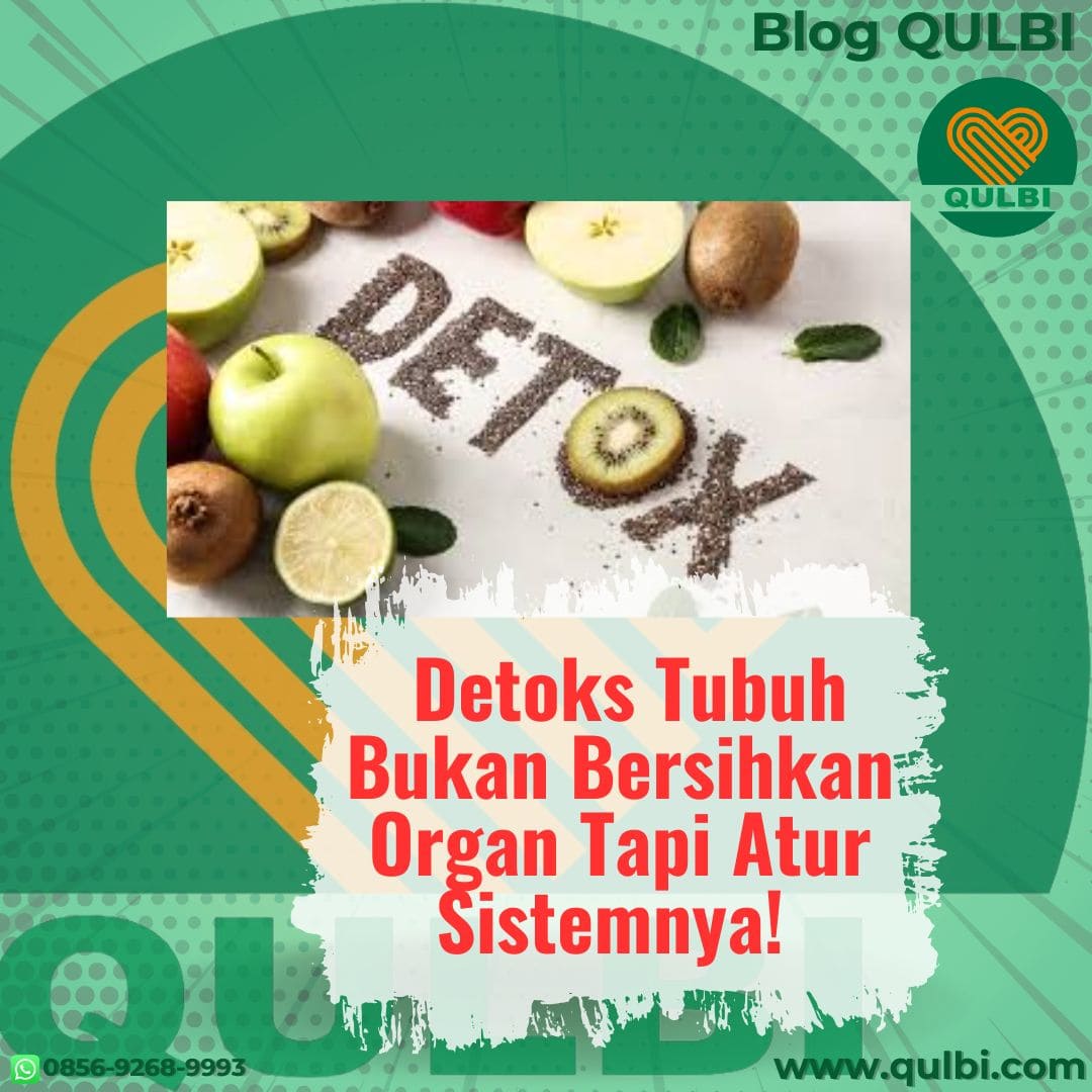 You are currently viewing Detoks Tubuh Bukan Membersihkan Organ — Tapi Mengatur Sistemnya dengan QULBI Method