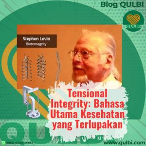 Read more about the article Stabilitas Tegangan Tubuh: Bahasa Utama Kesehatan yang Terlupakan & FASCIA Hack Pelopornya