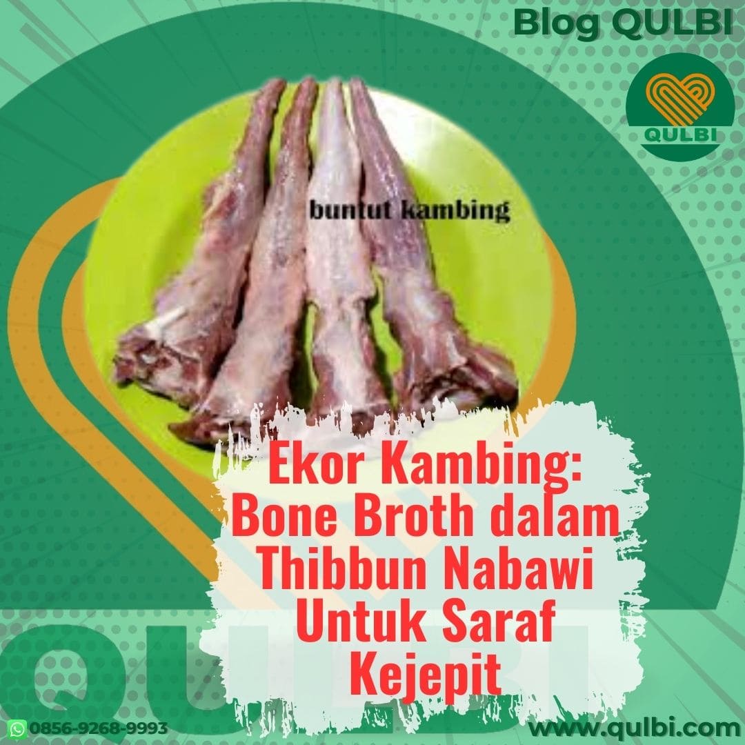 You are currently viewing Bone Broth dalam Thibbun Nabawi: Rahasia Penyembuhan Saraf Kejepit dari 14 Abad Lalu