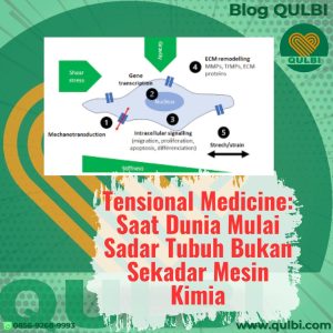 Mekanotransduksi pada Tensional Medicine