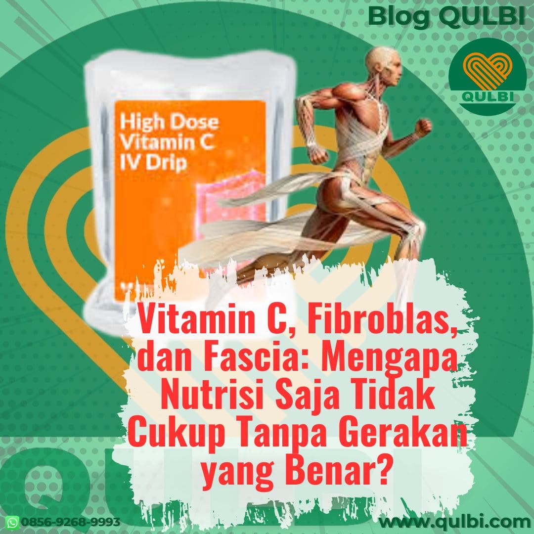 You are currently viewing Vitamin C, Fibroblas, dan Fascia: Mengapa Nutrisi Saja Tidak Cukup Tanpa Gerakan yang Benar?