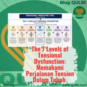 The 7 Levels of Tensional Dysfunction