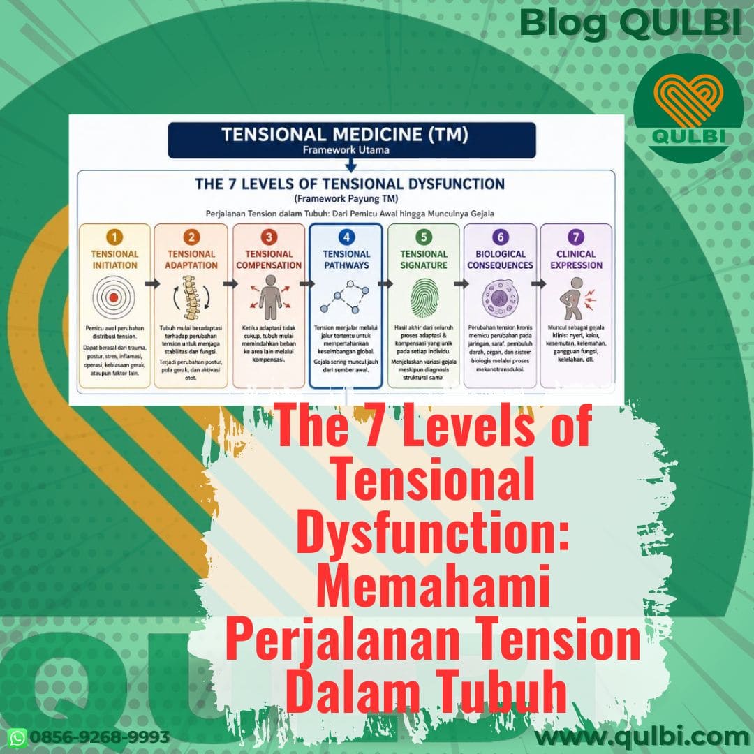 You are currently viewing The 7 Levels of Tensional Dysfunction: Framework untuk Memahami Perjalanan Tension di Dalam Tubuh