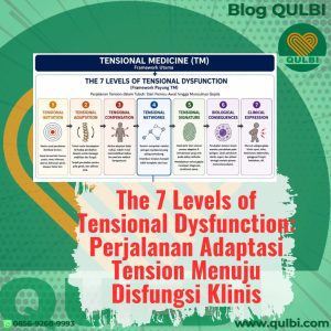 the 7 levels of tensional dysfunction