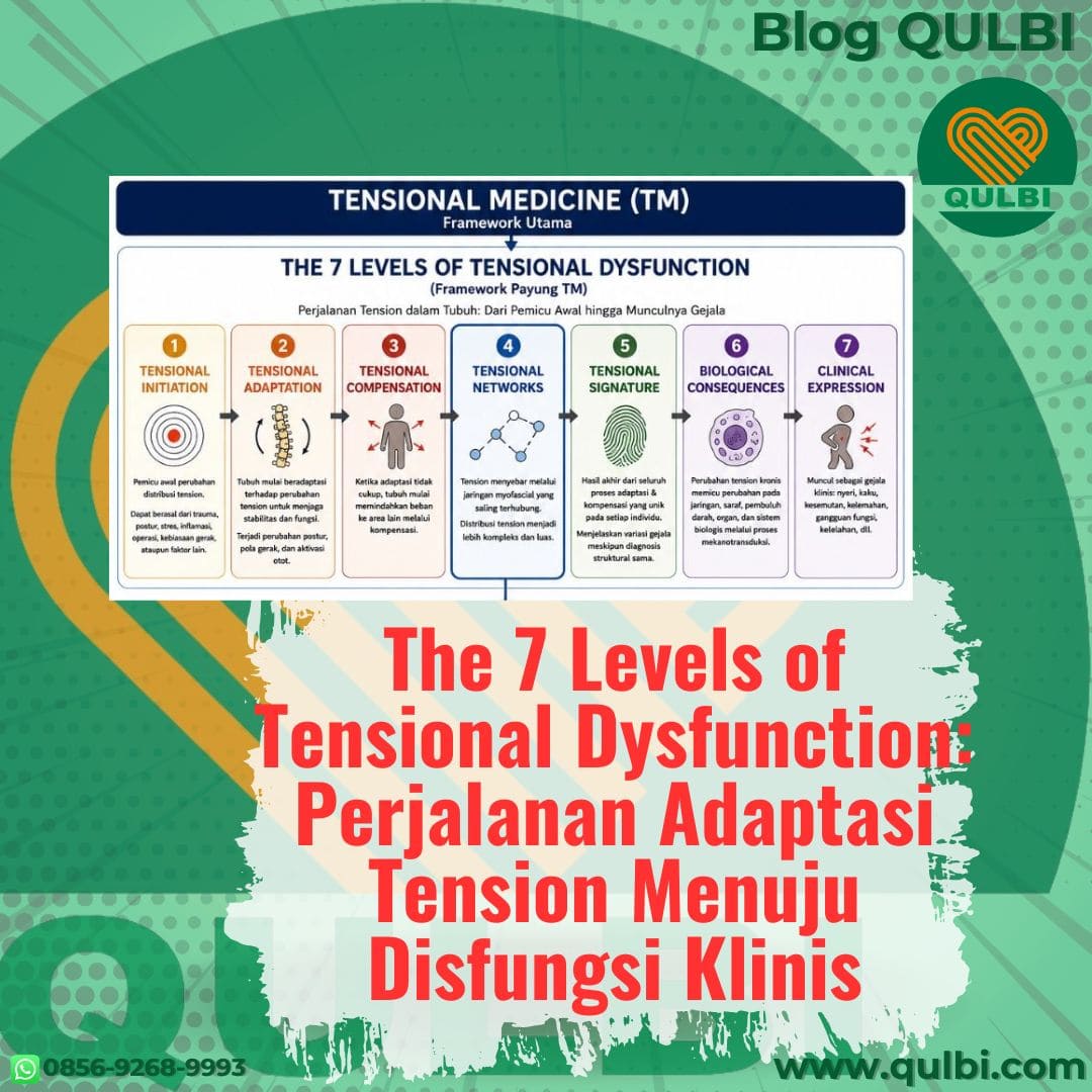 the 7 levels of tensional dysfunction