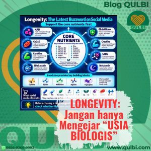 longevity